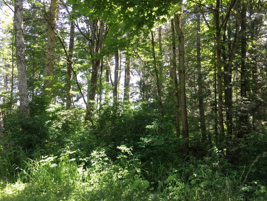 0 Mckenzie Way unit 10500613, Point Roberts, WA 98281 - photo 1