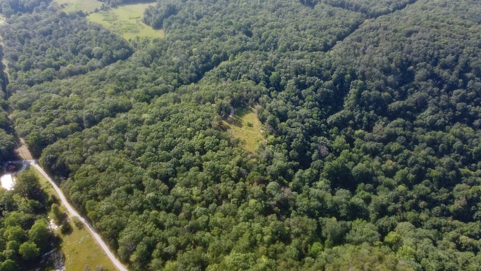 0 Partin Farm Rd unit RTC2908498, Tracy City, TN 37387 - photo 1