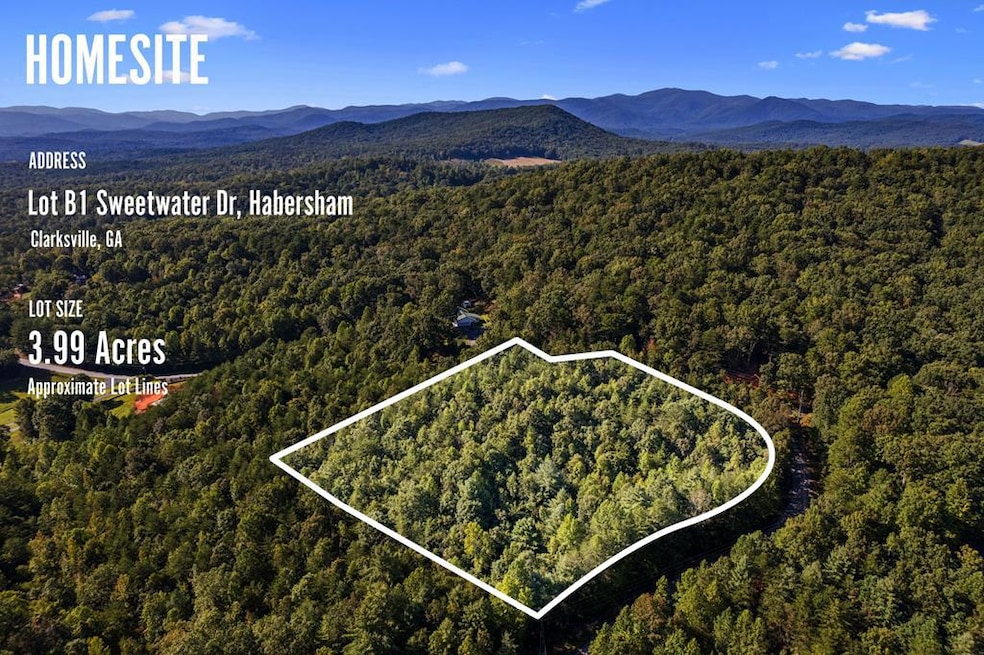3.99 AC Sweetwater Dr, Clarkesville, GA 30523 - photo 1