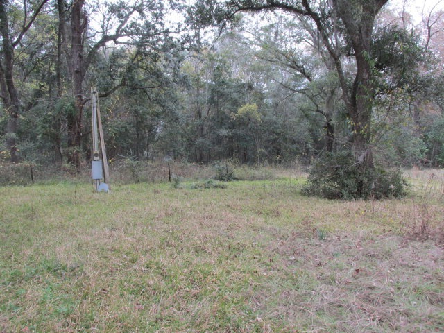 000 Scooter Rd, Camilla, GA 31730 - photo 1