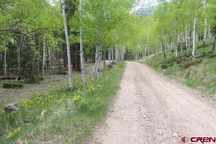 tbd 10th, Jasper, CO 81144 - photo 1