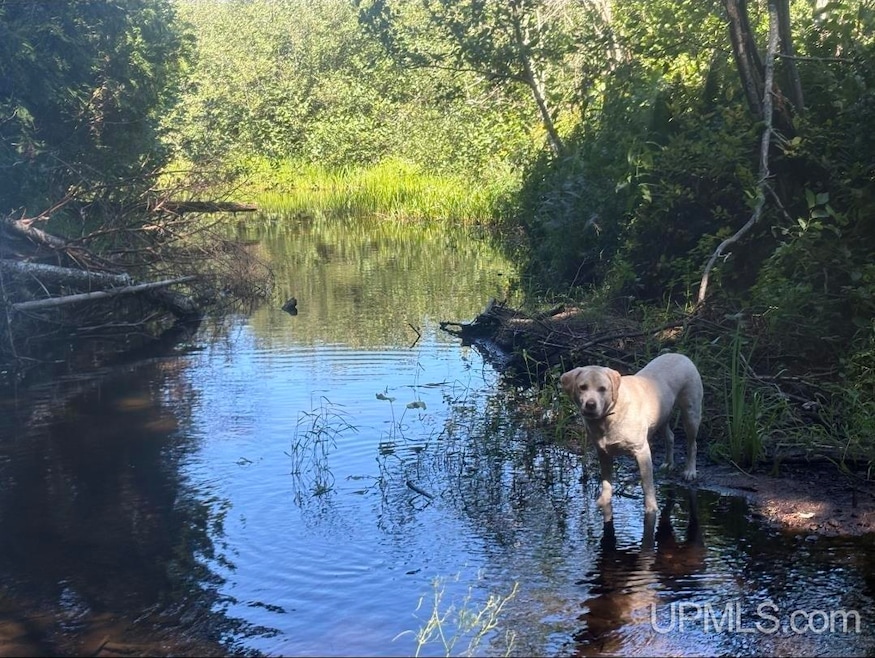 94 +/- Acres Peter White Rd, Deerton, MI 49822 - photo 1