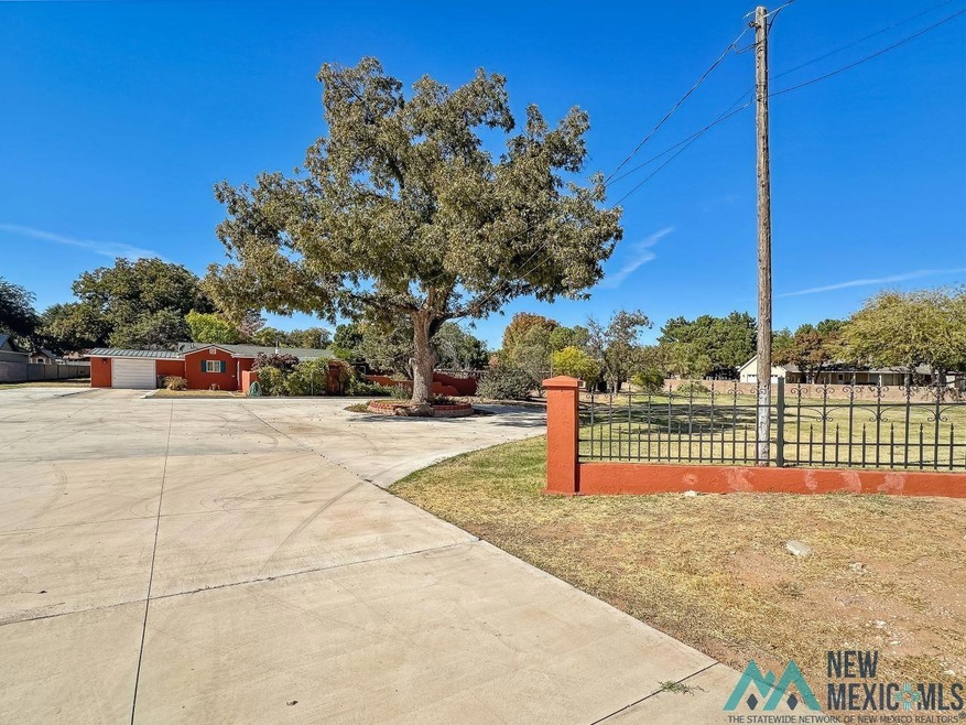1403 & 1405 N Guadalupe St, Carlsbad, NM 88220 - photo 1