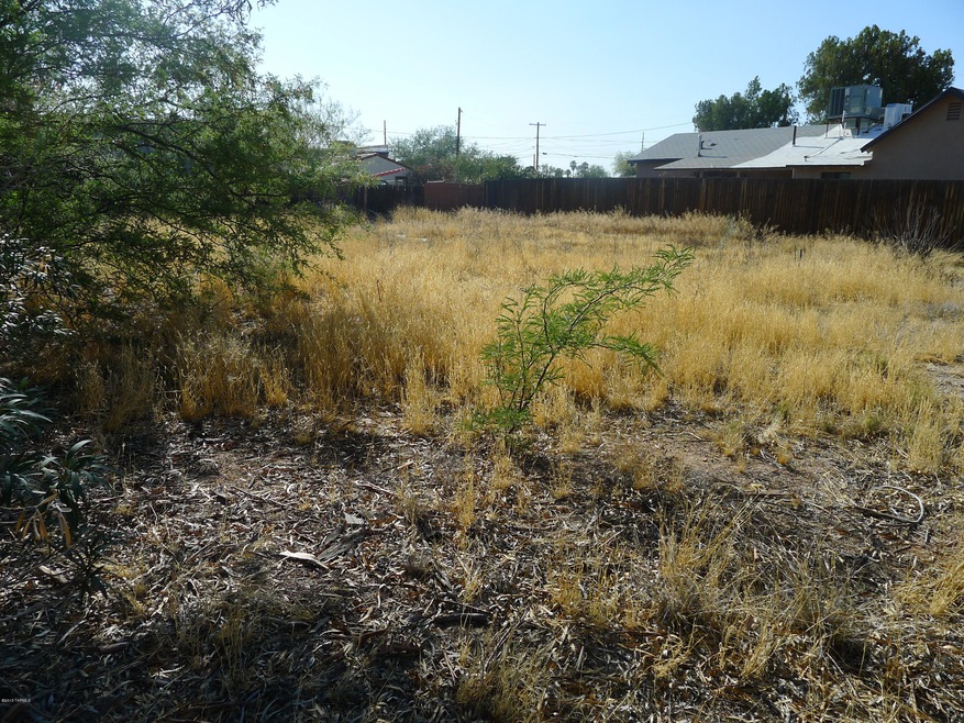 Large Lot