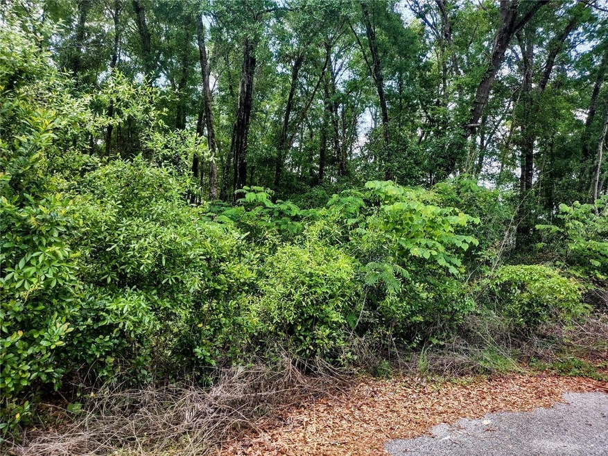 TBD NE 155th Ct, Williston, FL 32696 - photo 1