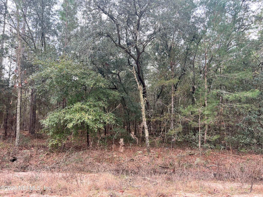 0 Trout Lake Cir unit 2119300, Interlachen, FL 32148 - photo 1