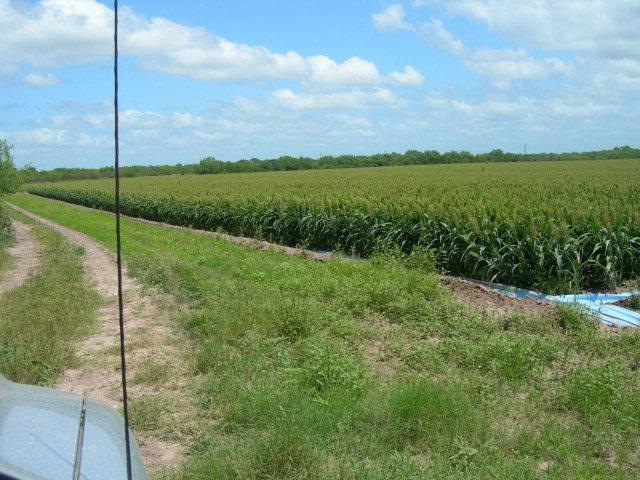 mile 3.5 S Victoria Rd, Donna, TX 78537 - photo 1