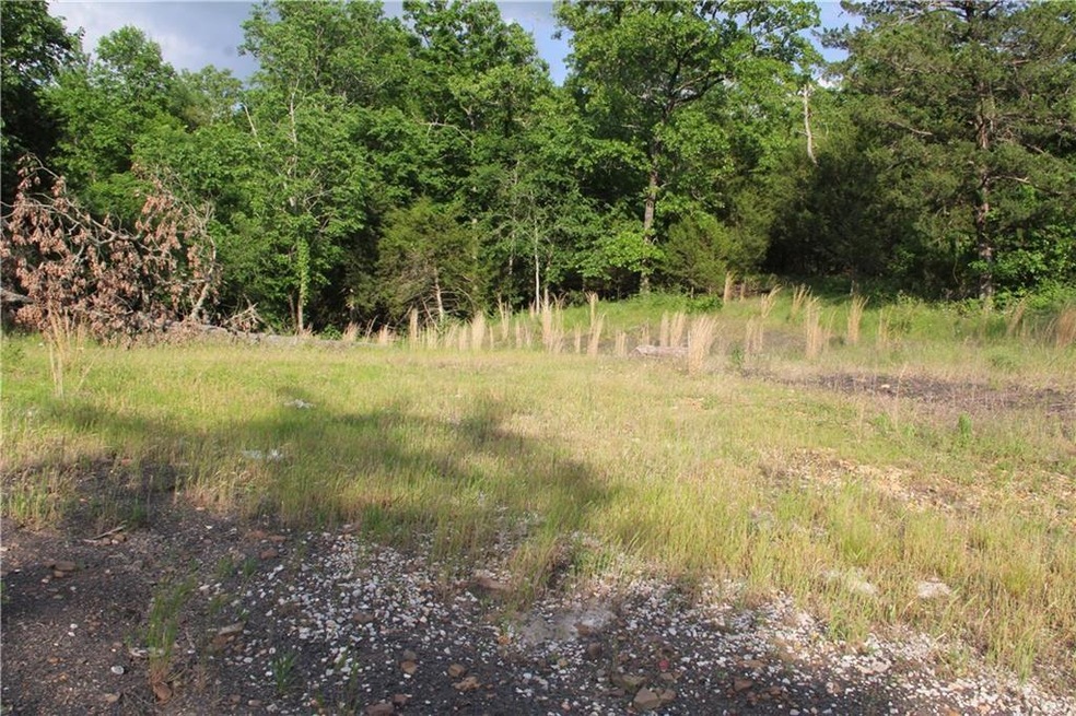 10864 Bray Rd, Elkins, AR 72727 - photo 1