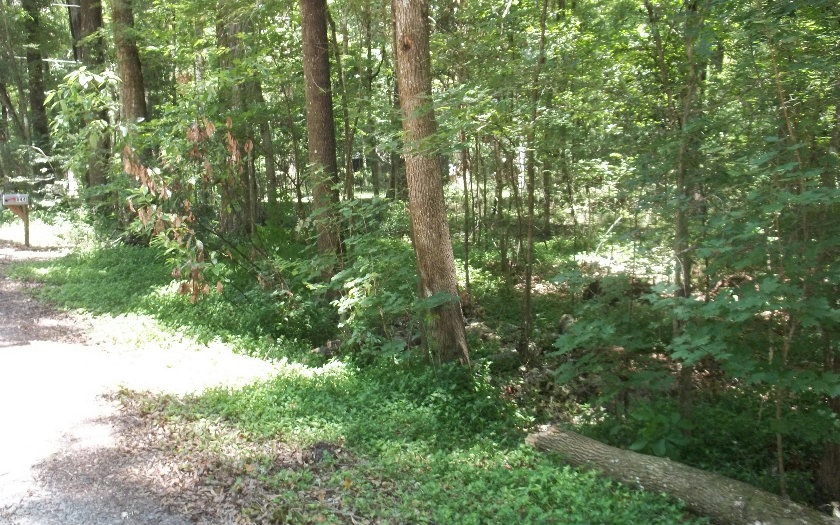 TBD Washington Ave Lot 8, Fort White, FL 32038 - photo 1