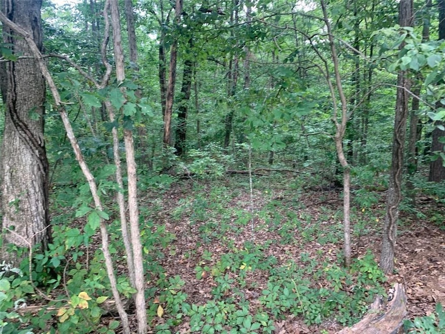 0 St Neots Ln unit 1194087, Bella Vista, AR 72714 - photo 1