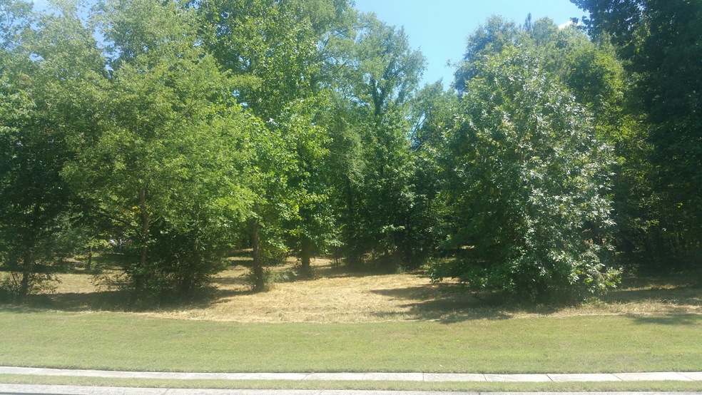 lot 8