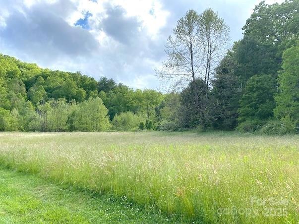 99999 Brevard Rd, Hendersonville, NC 28792 - photo 1