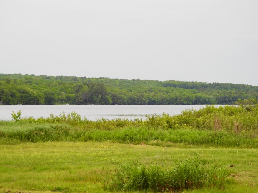 Scenic View