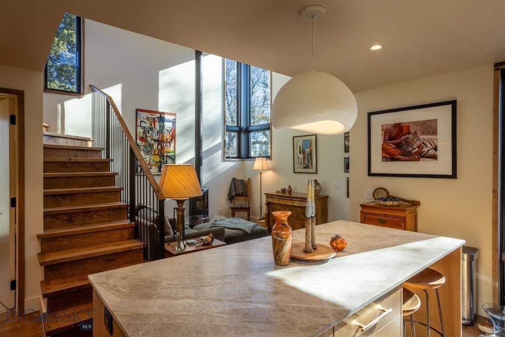 209 1/2 S D St, Livingston, MT 59047 - photo 1