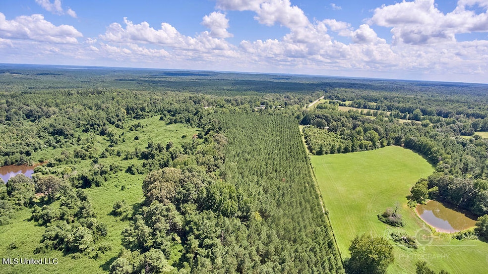 00 Graves Rd, Holly Springs, MS 38635 - photo 1