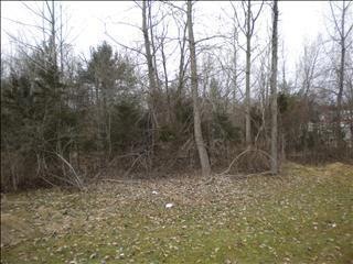 1049 Violet Ave, Hyde Park, NY 12538 - photo 1