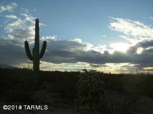 This Must Be the Real Thing