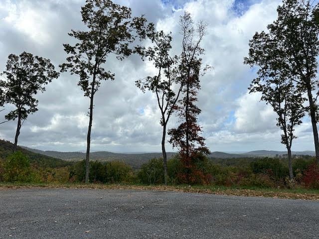 Lot 173 Shagbark Ct, Ellijay, GA 30541 - photo 1