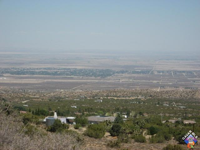 Primary Photo