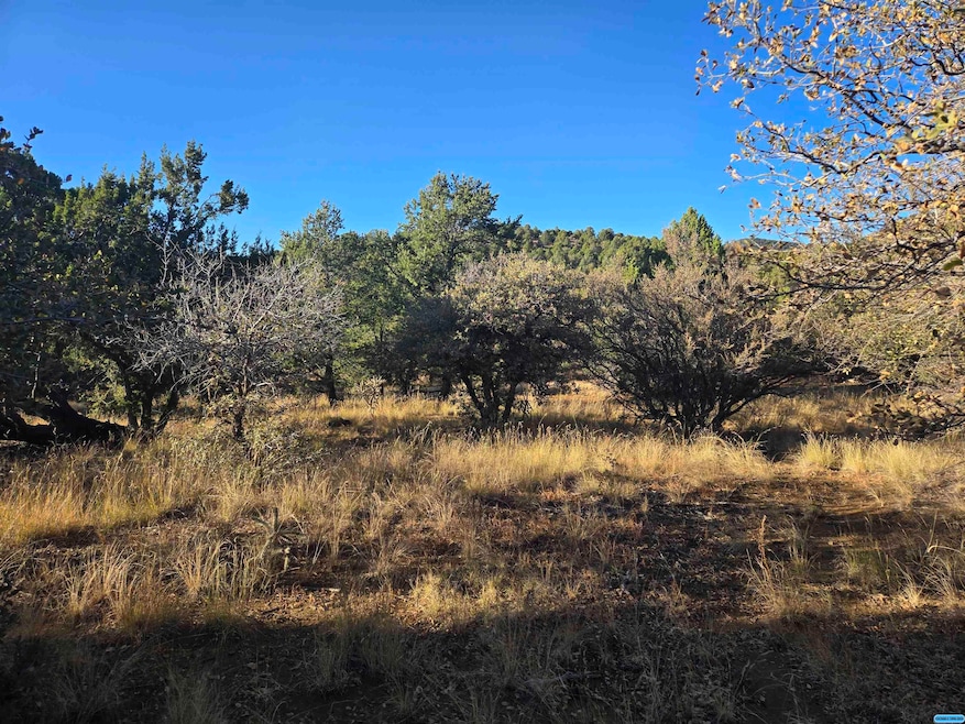 xxx Sanctuary Rd, Silver City, NM 88061 - photo 1