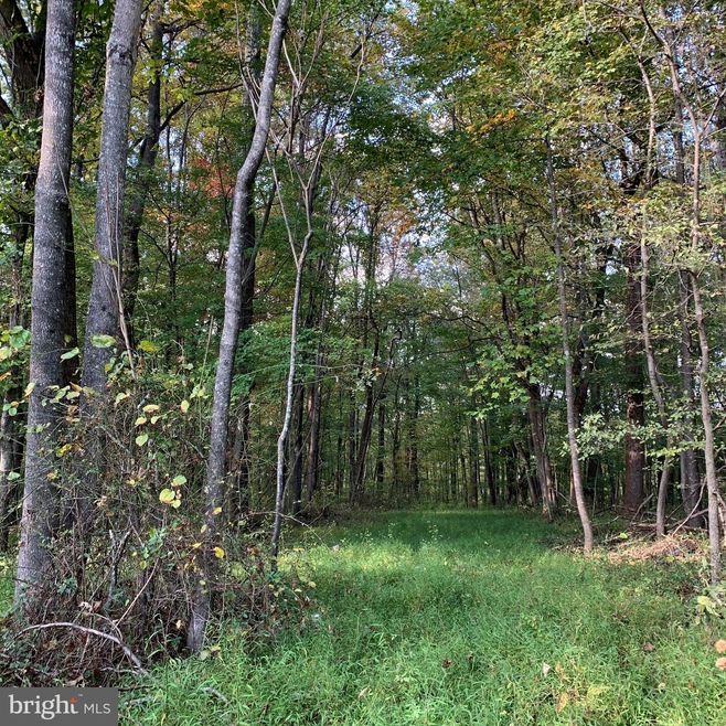 0 Mountain Ridge Way unit VACU2004116, Culpeper, VA 22701 - photo 1