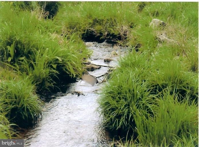 0 Beech Ln unit WVHD106956, Baker, WV 26801 - photo 1