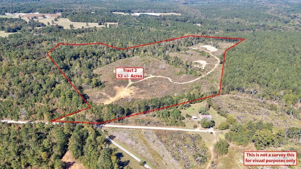 0 Bridges Rd, Carlton, GA 30627 - photo 1