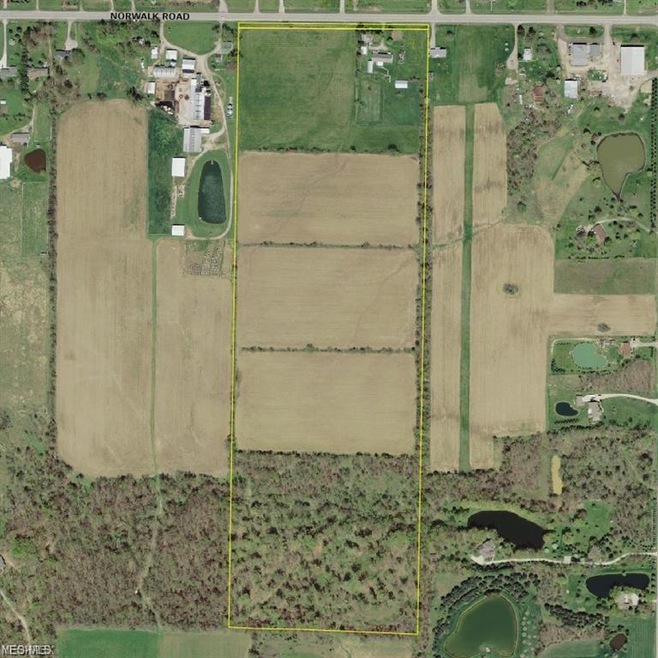 The back 14.7 wooded acres to be split off the 50 