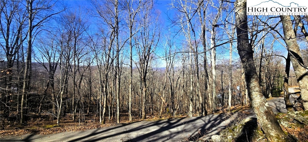 Lot 22 Ski Acres Dr, Blowing Rock, NC 28605 - photo 1