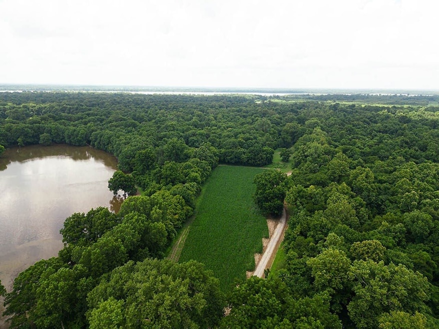 Norfolk Landing Rd, Lake Cormorant, MS 38641 - photo 1