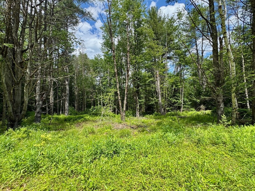 0 Shelburne Falls Rd, Conway, MA 01341 - photo 1