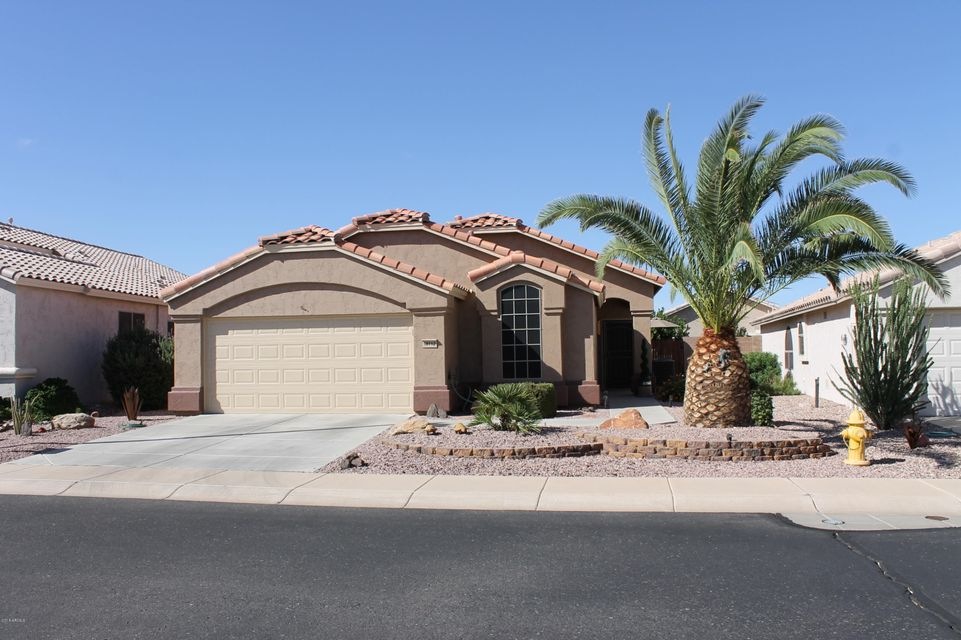 Gorgeous North-Facing Ocotillo