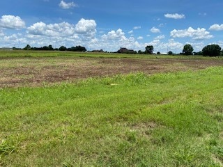 10351 Bushnell Rd, Needville, TX 77461 - photo 1