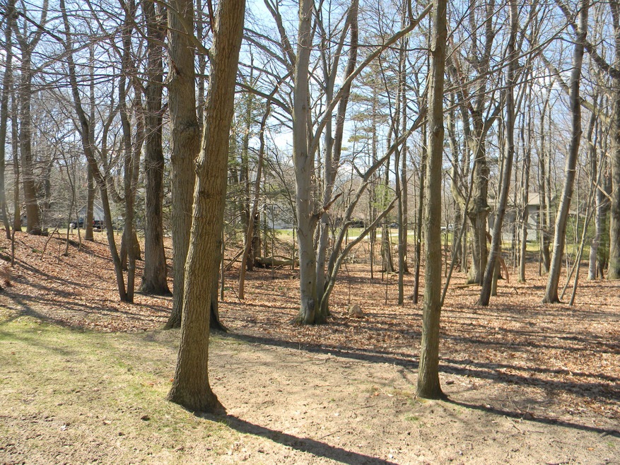 Lot 6 NE View