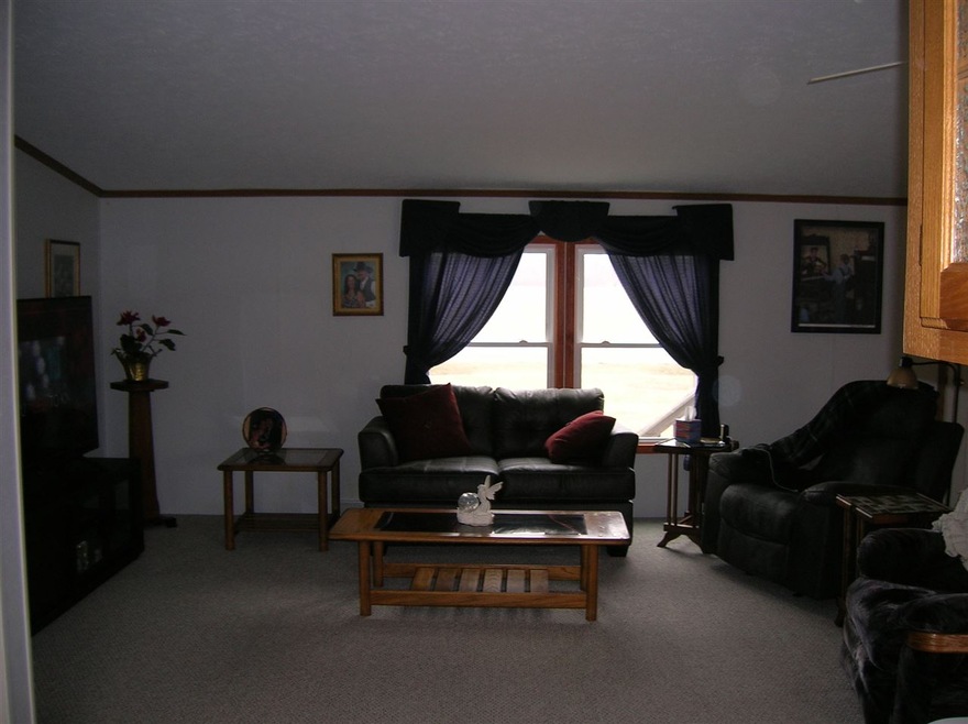 7079 W Mount Morris Rd, Flushing, MI 48433 - photo 1