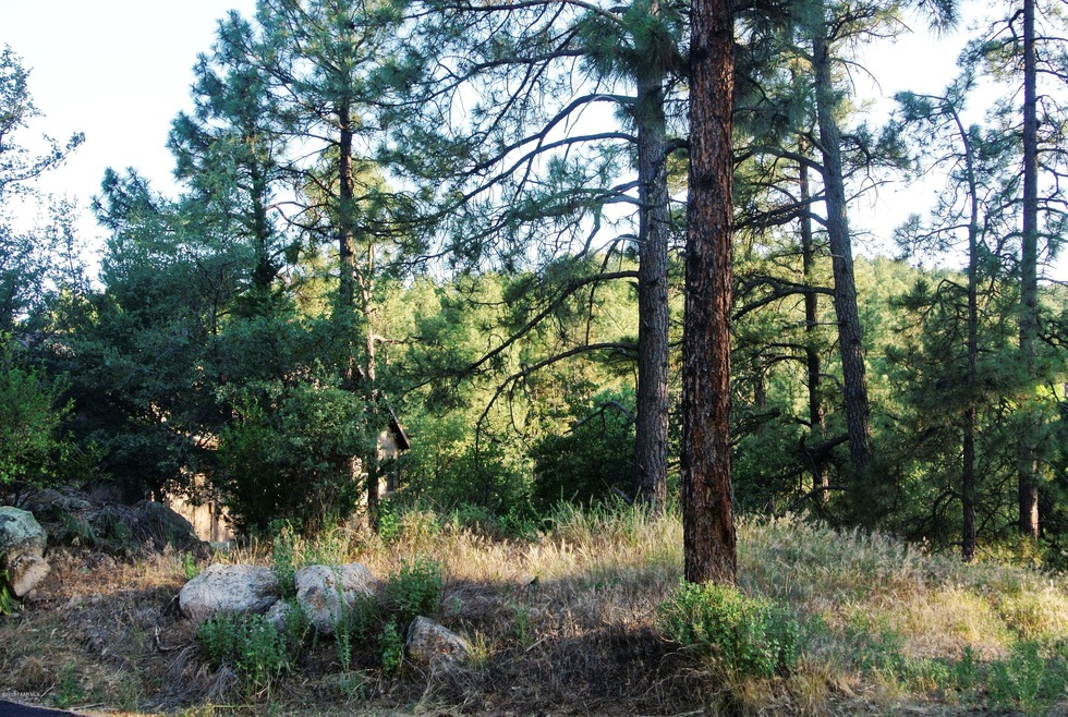 625 Aspen