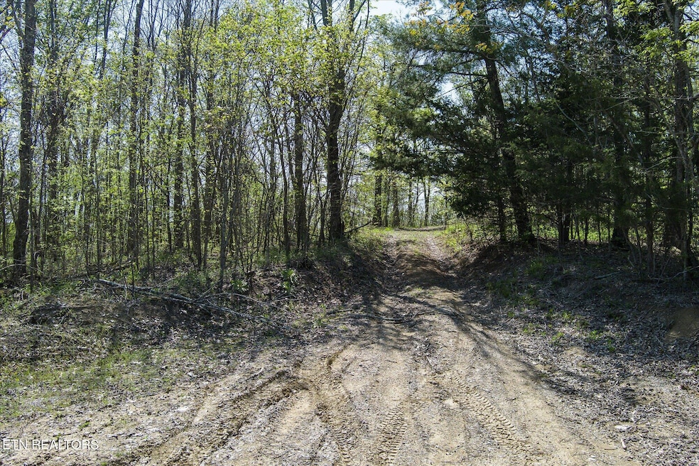 01-Firetower Rd Sparta