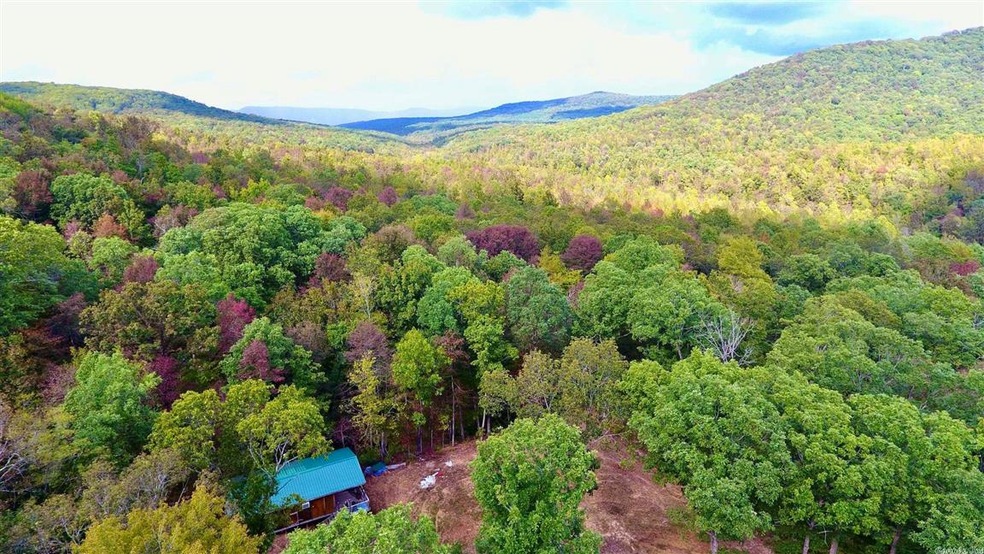 40ac Forest Service Rd 116, Patrick, AR 72727 - photo 1