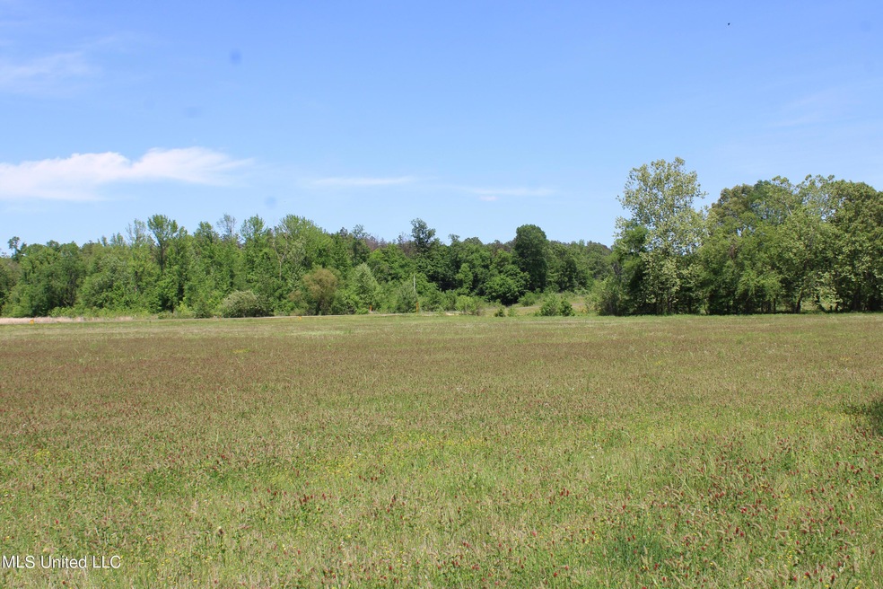 land