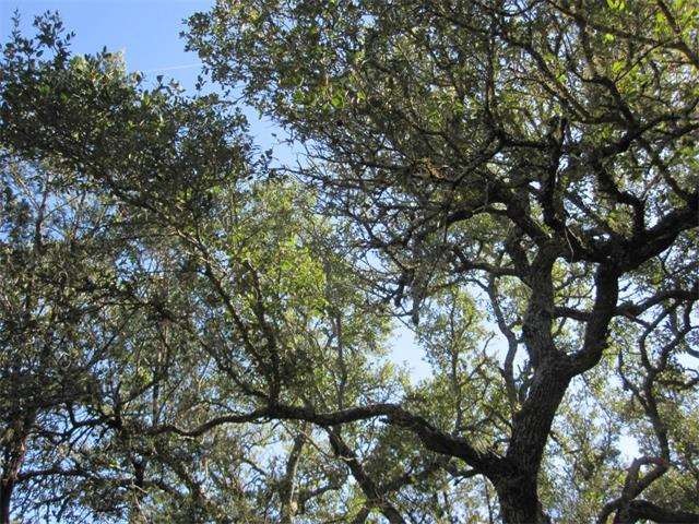 500 Sunrise Trail, Dripping Springs, TX 78620 - photo 1