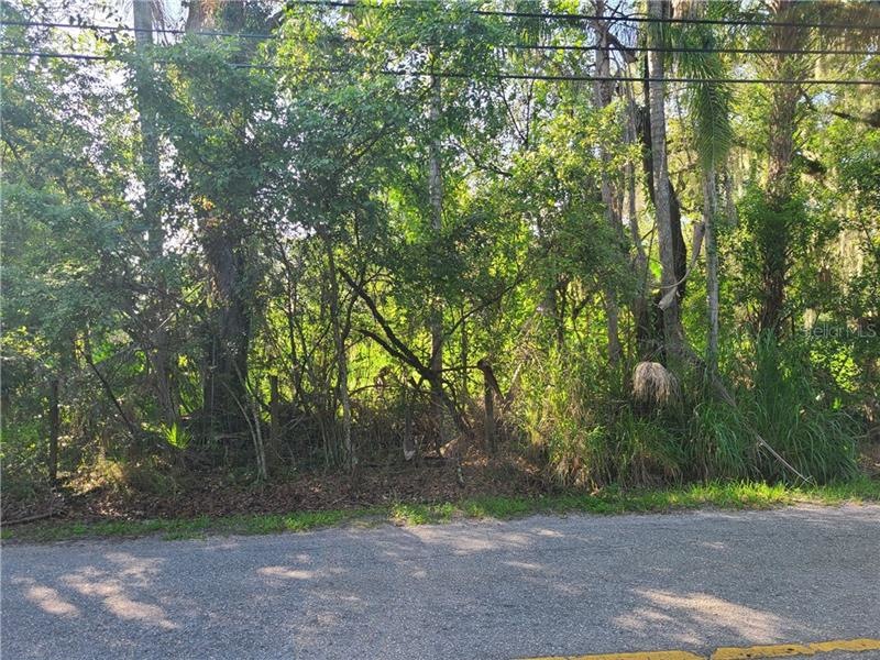 0 Garden Ln, Tampa, FL 33610 - photo 1