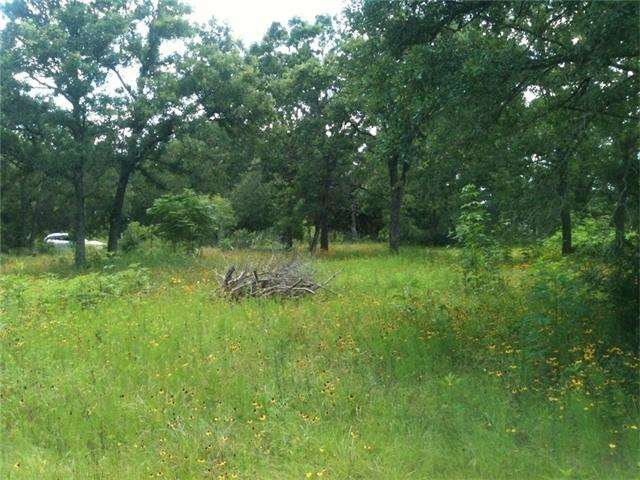Older photo from the middle of lot. Some trees hav