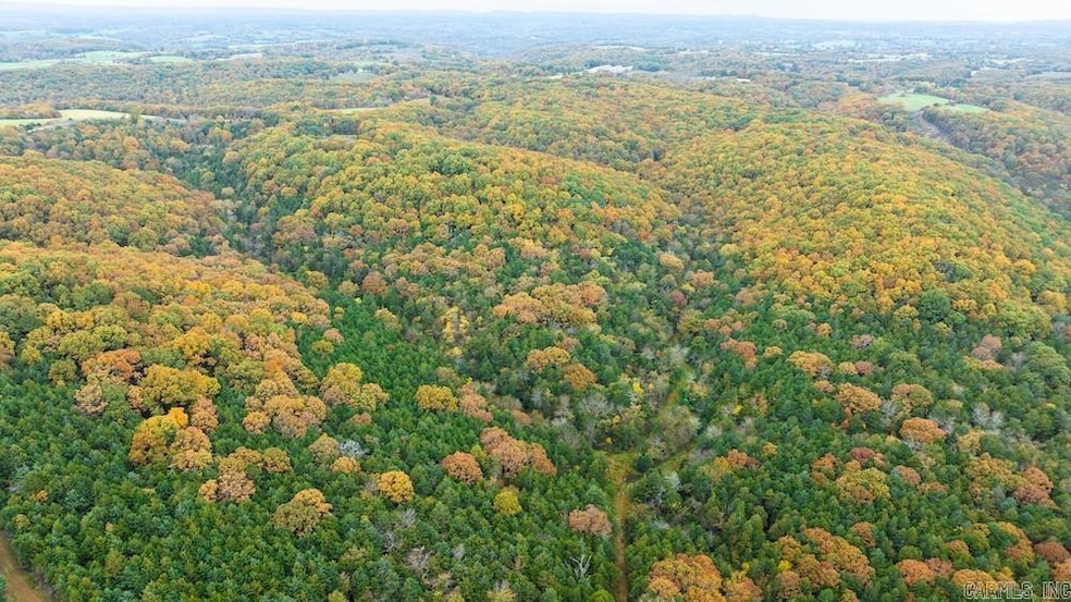 0 Cr 663, Oak Grove, AR 72660 - photo 1