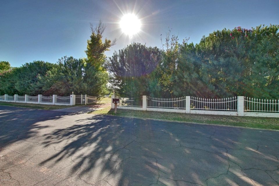 Front Trees