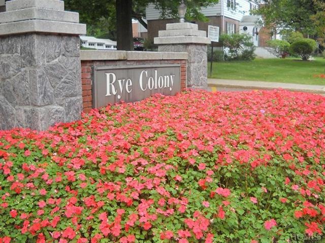 64 Peck Ave unit A, Rye, NY 10580 - photo 1