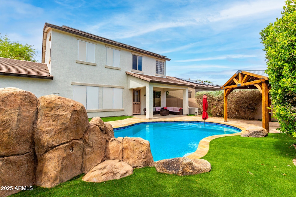 Backyard Oasis