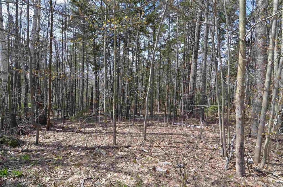 0 Berry Patch Ln unit 45-2, Ludlow, VT 05149 - photo 1