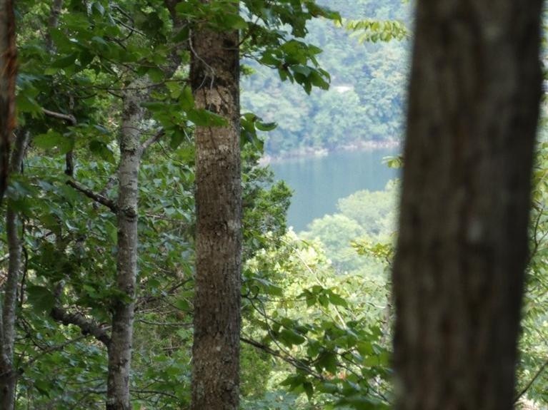 0 Albert Baker Rd, Somerset, KY 42501 - photo 1