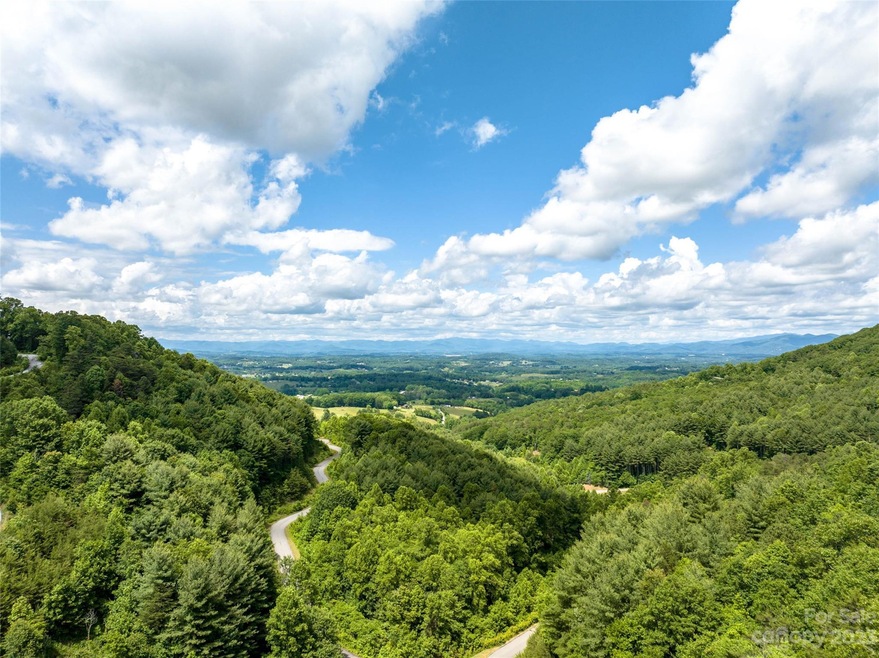 64 Mountain Magnolia Dr unit 51, Leicester, NC 28748 - photo 1