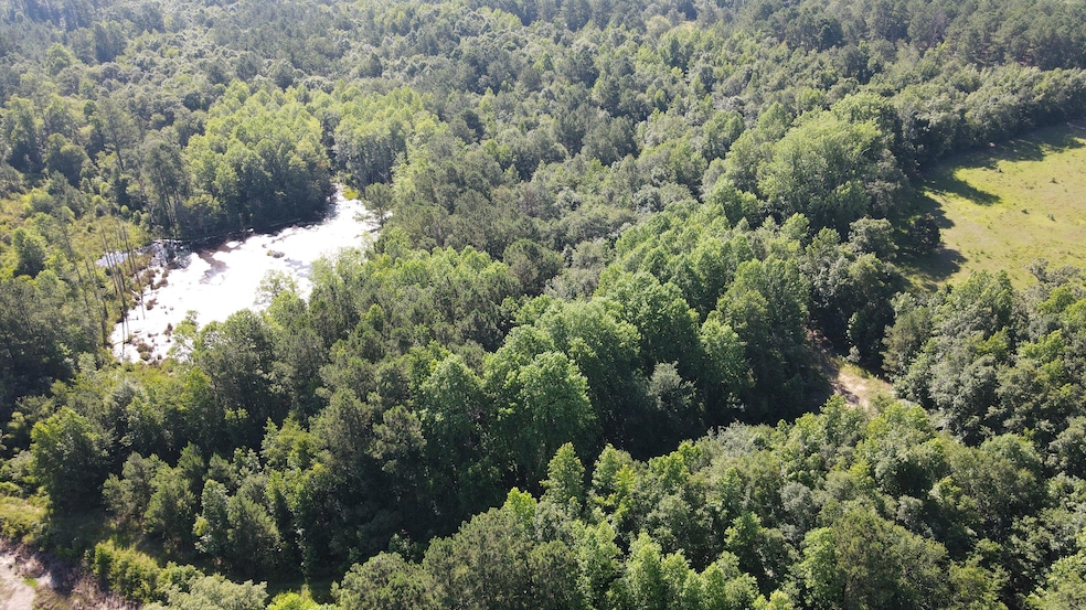 DJI_0423